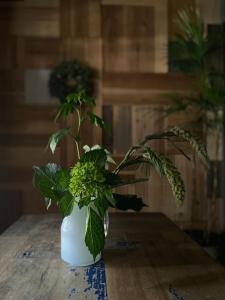 a green plant in a white vase on a table at 六根ゲストハウス Rokkon guest house in Kyoto