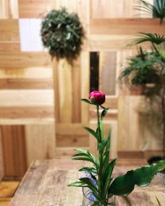 京都市にある六根ゲストハウス Rokkon guest houseの木製テーブルの花瓶のピンクのバラ