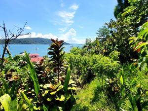 a view of the ocean from a field of plants at Casa Mar y Arena in Golfito