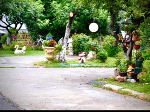 a garden with potted plants and a park with ducks at Apartmani LANA Podgorica in Podgorica