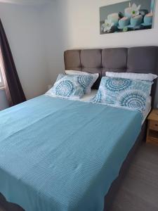 uma cama com um edredão azul e duas almofadas em Apartman Tin em Vir