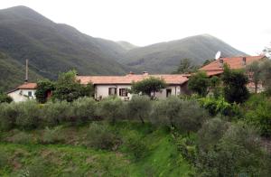 une maison dans un champ avec des montagnes en arrière-plan dans l'établissement Agriturismo Il Giglio e la Rosa, à Montale