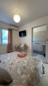 a bedroom with a large bed and a television at Mon ti Kaz Mon ti Bonheur in Saint-André