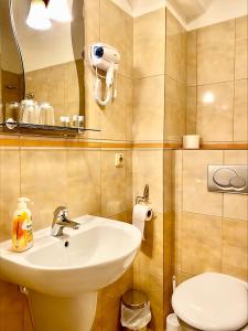 ein Bad mit einem Waschbecken und einem WC in der Unterkunft Hotel Majovey in Žilina