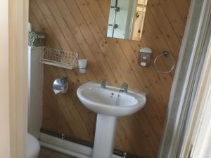 a bathroom with a sink and a wooden wall at Otters Green in Botley +15 photos