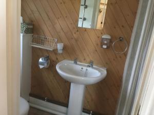 a bathroom with a sink and a wooden wall at Otters Green in Botley