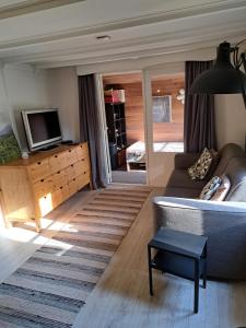 ein Wohnzimmer mit einem Sofa und einem TV in der Unterkunft De Boshut Vledder in Vledder