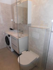 Koupelna v ubytování Apartment Steblaj