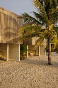 un palmier en face d'un bâtiment sur la plage dans l'établissement Innit Lombok, à Ekas