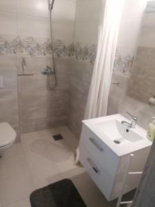 a bathroom with a shower and a sink and a toilet at Apartament z tarasem in Bodzentyn