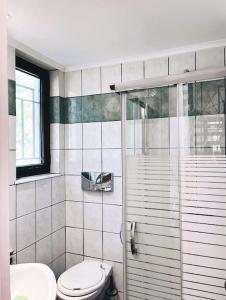 a bathroom with a toilet and a glass shower at Villa Calliope Lardos in Lartos
