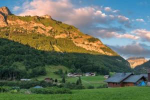 un pueblo frente a una montaña en Le Bel appartement de Montagne en Bellevaux