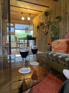 twee glazen wijn zittend op een glazen tafel in een woonkamer bij Casa Calida in Warmenhuizen