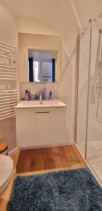 une salle de bain avec lavabo et douche dans l'établissement Le Petit Nord, à La Panne