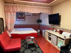 a small room with a red bed and a tv at エリア５１ in Kishimoto
