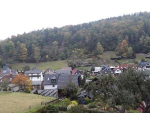 een stad met huizen en een heuvel met bomen bij Haus Jahn in Rohrbach