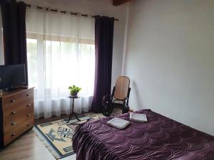 Pecineaga的住宿－Casa Laura，卧室配有床、椅子和窗户。