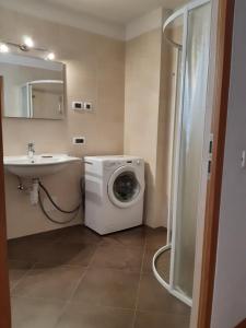 een badkamer met een wasmachine en een wastafel bij Raisc - La tua casa in Val Badia in La Villa