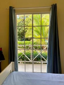 Schlafzimmer mit einem großen Fenster und einem Bett in der Unterkunft Sunhill Villa in Big Corn Island