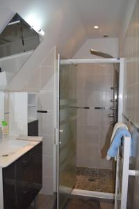 W łazience znajduje się prysznic ze szklanymi drzwiami. w obiekcie Maison mitoyenne tout confort et parking securise. w mieście Juillan