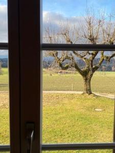 Fotografie z fotogalerie ubytování Wohnen mit Blick auf Eiger - ehemaliges Bauernhaus - 2 Schlafzimmer v destinaci Schwarzenburg