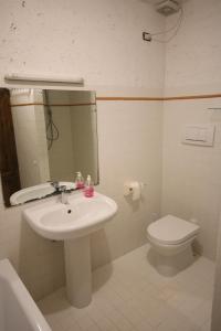 een badkamer met een wastafel en een toilet bij Podere Campo alle Serpi in Bibbona