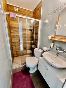 a bathroom with a toilet and a sink and a shower at Dworek Karwia Wiosenna 8 in Karwia