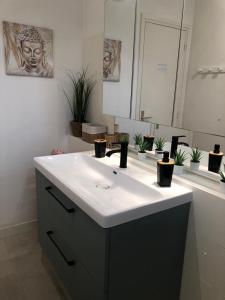 een badkamer met een wastafel, een spiegel en planten bij Appartement Vue Mer 75 m2 in Saint-Raphaël