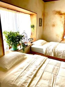 a bedroom with two beds and a window with a plant at 一棟貸し　魔女の休日CLUB in Nagano