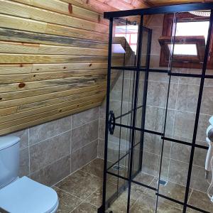 a bathroom with a toilet and a wooden wall at Verde Blu Bungalow in Edremit