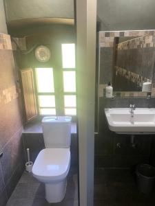 uma casa de banho com um WC branco e um lavatório. em Albergue de Arrojo em Bárzana