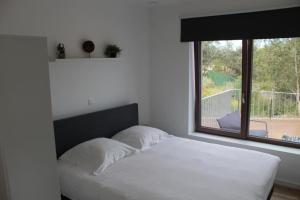 een bed in een slaapkamer met een groot raam bij West Bay Familieappartement in Middelkerke