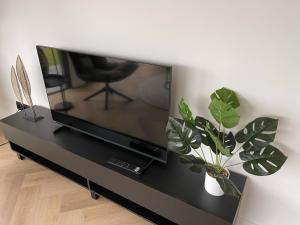 a flat screen tv sitting on a black stand with a plant at Edelhert, moderne en comfortabele vakantiewoning met hottub! in Ermelo +29 photos