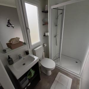 a bathroom with a toilet and a shower and a sink at Mobile Homes Albatross in Jezera