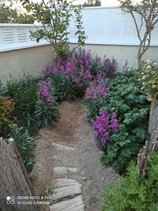 un jardín con flores púrpuras y una valla en El Rincón de Triana en Almería