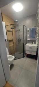 a bathroom with a shower and a toilet and a sink at Apartament Sarbinowo in Sarbinowo