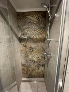 eine Dusche im Bad mit Duschvorhang in der Unterkunft Apartman na kopci in Košice