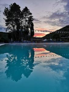 un bassin d'eau bleue avec un arbre en arrière-plan dans l'établissement Terme Acqua Pia, à Montevago