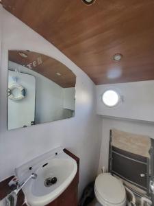 a bathroom with a sink and a toilet and a mirror at Holländisches Kajütboot Nixe in Bremen