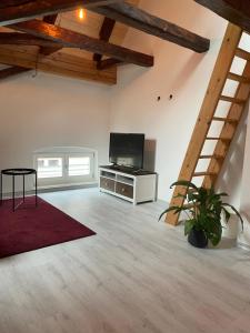 Televiisor ja/või meelelahutuskeskus majutusasutuses 24-7 Apartment Passau