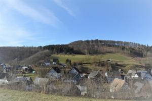 a village on a hill with houses and trees at Auszeitoase in Olsberg