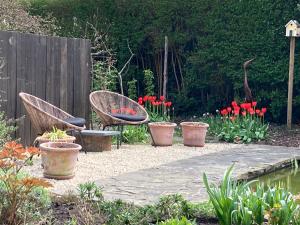 a garden with two chairs and red tulips at Tree & B in Bruges