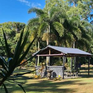 a gazebo in a park with a palm tree at Bramston beach resort in Bramston Beach