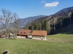 una casa en un campo con montañas en el fondo en APARTMA BREST, en Gornji Grad