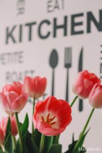 a group of red tulips in front of a sign at Case Vacanze Paola in Santo Stefano al Mare