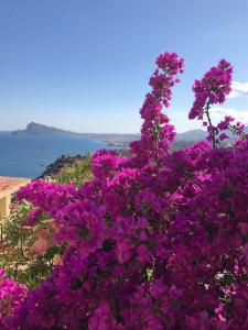 Fotografia z galérie ubytovania VILLA ALTEA HILLS, vue mer, piscine chauffée, WIFI v Alicante