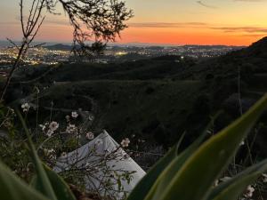 widok na zachód słońca z wzgórza z kwiatami w obiekcie Glamping Finca el Olivo w mieście Mijas