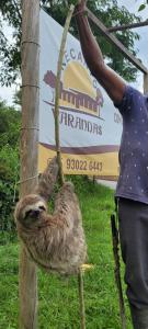 een persoon die een dood dier aan een touw vasthoudt bij Recanto Varandas Guararema in Guararema