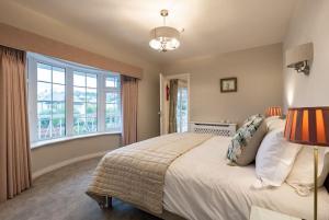 a bedroom with a bed and a large window at Naughtons Villa in Killarney