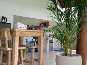 eine Küche mit einem Holztisch und einer Topfpflanze in der Unterkunft Bali intan Canggu in Canggu